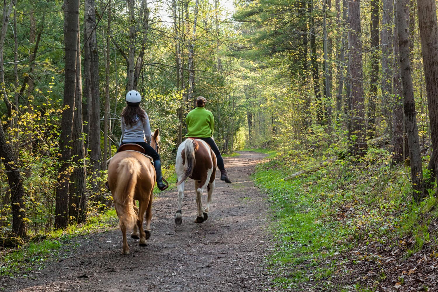 Horseback Riding