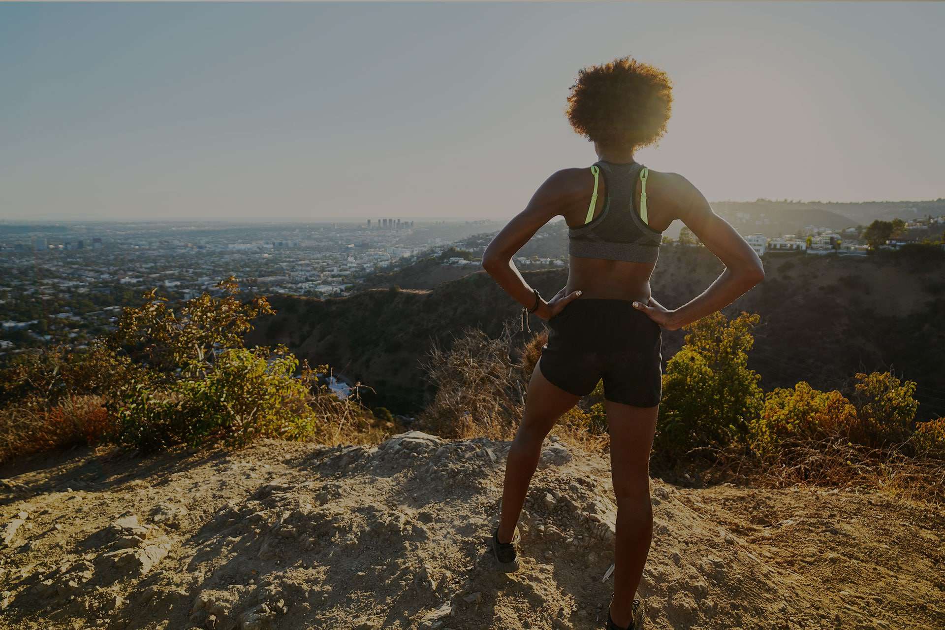 Wellness